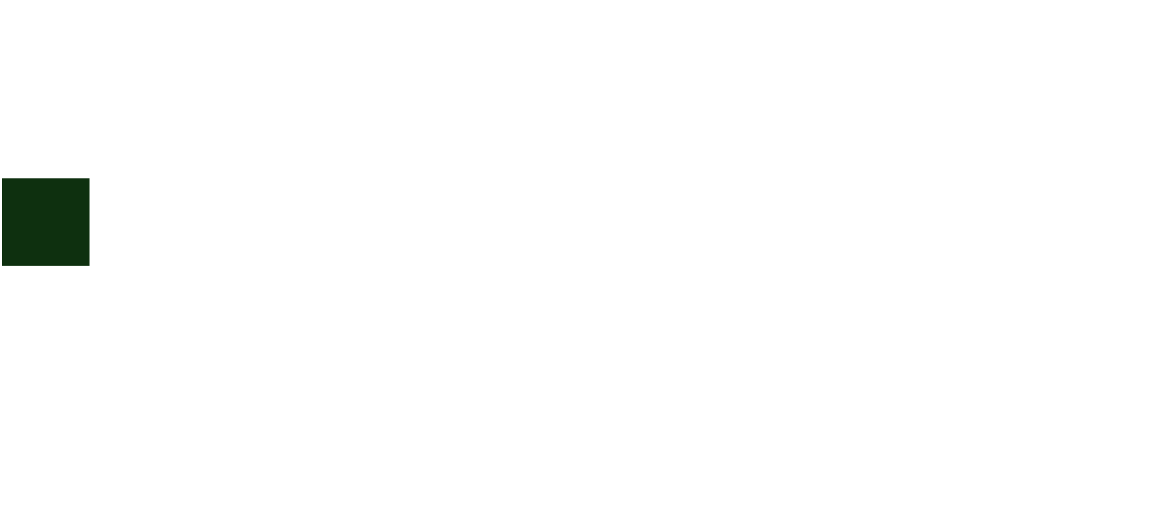 FunAnts Logo